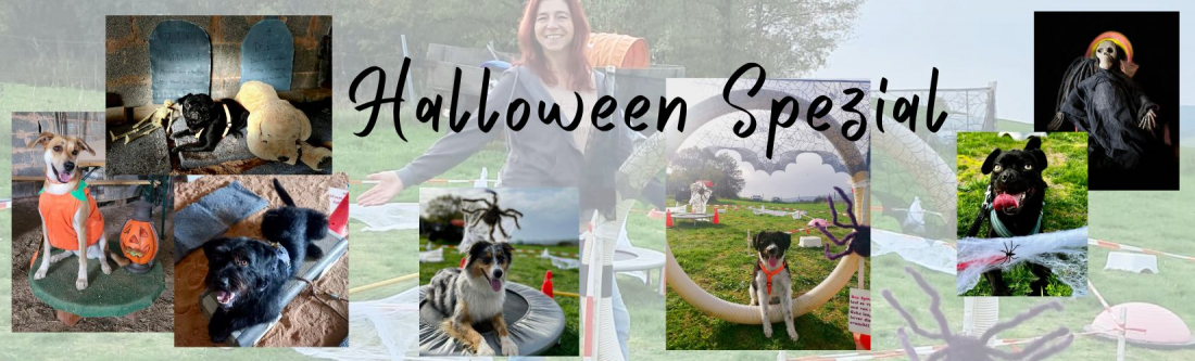 Halloween Spezial