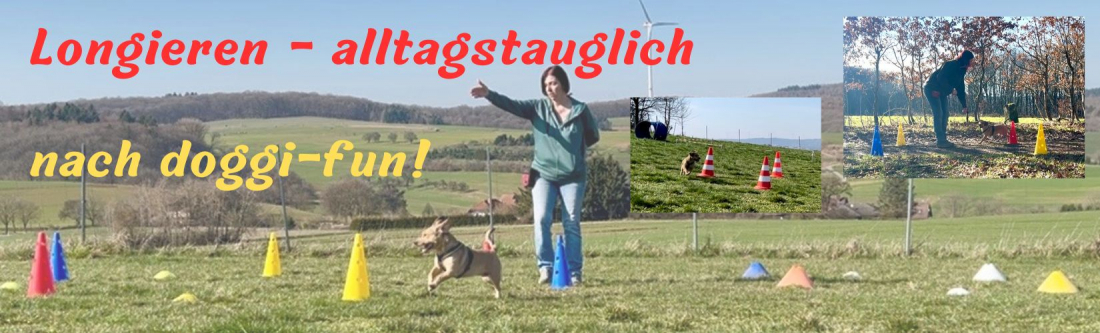 Longieren nach doggi-fun - Workshop