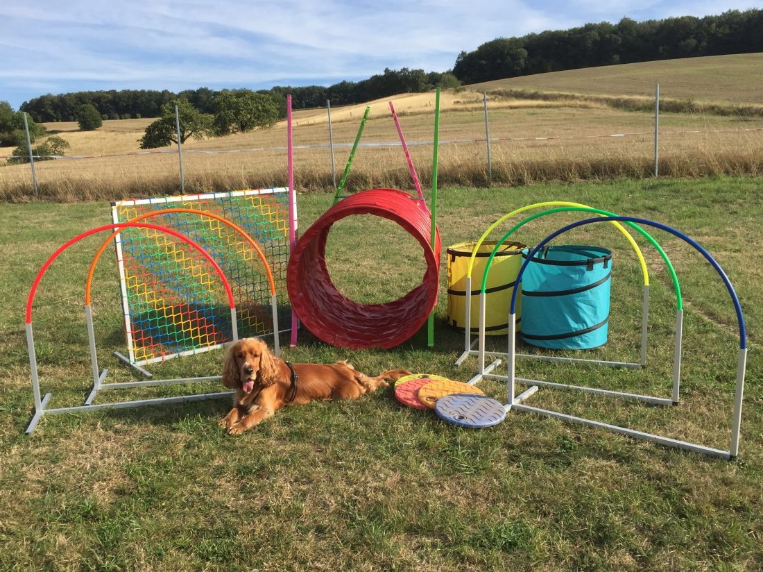 Hoopers Agility