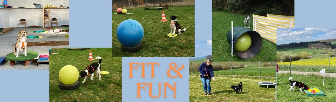 Fit & Fun