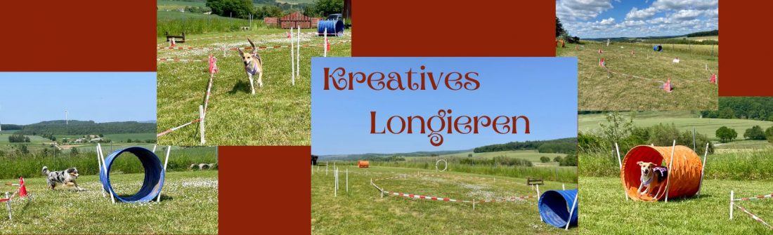 Kreatives Longieren 