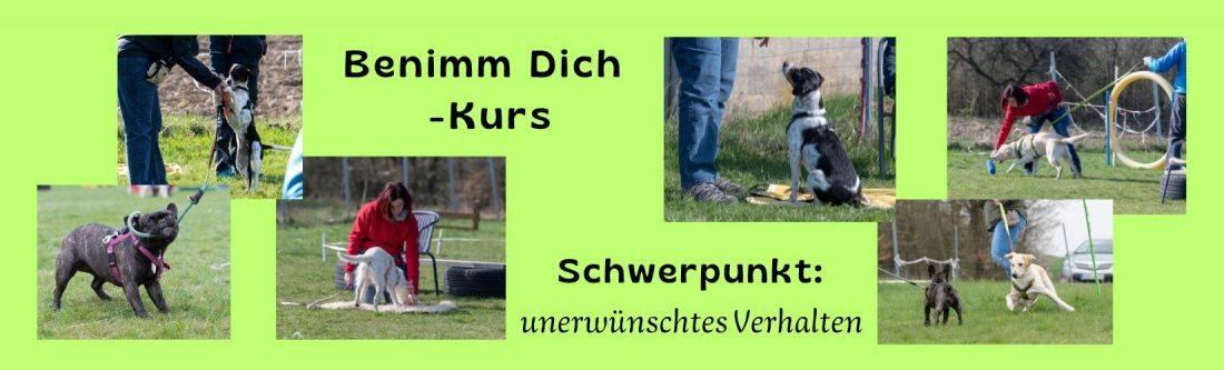 Benimm Dich - Kurs